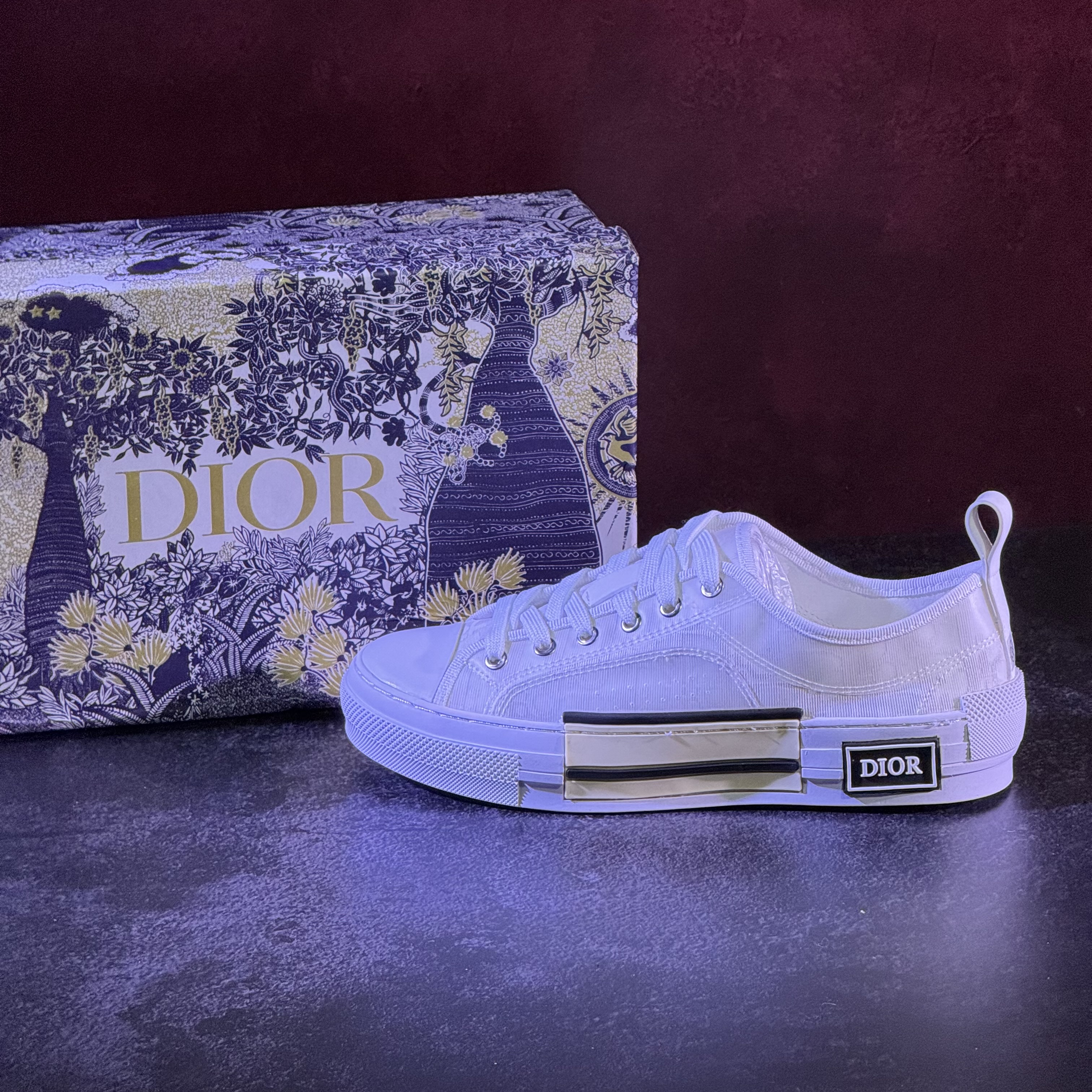 Dior B23 Low
